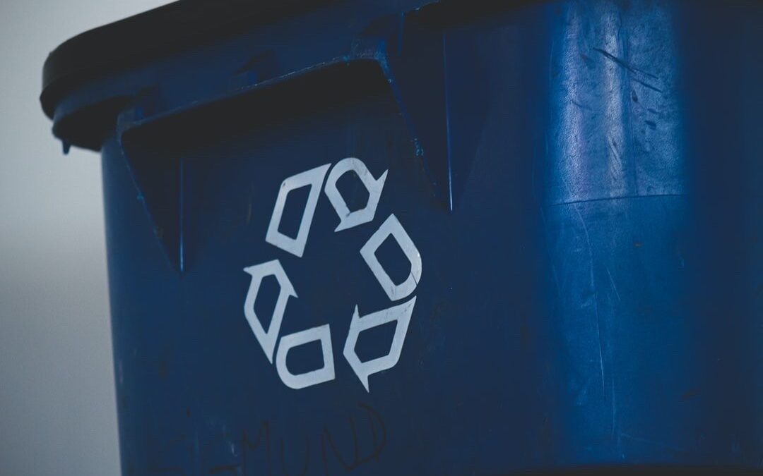 recycling bin to go green